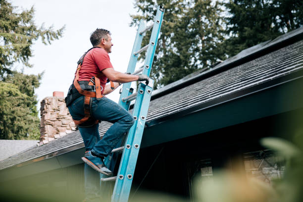 Best Skylight Installation and Repair  in Quartz Hill, CA